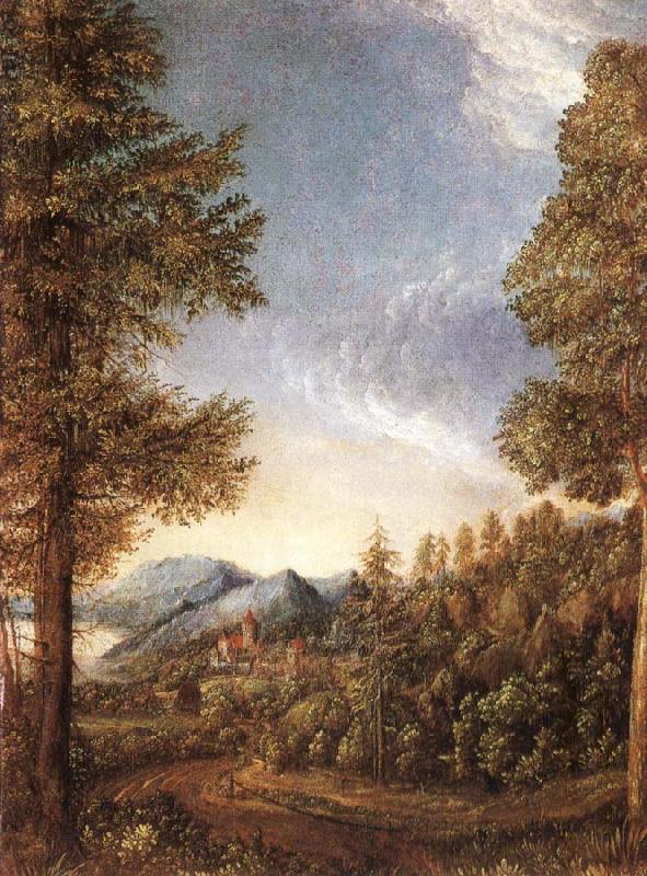 Albrecht Altdorfer Danube-landscape china oil painting image